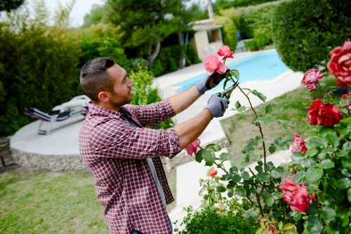 Worker checking hedge lines with measuring tool during pruning