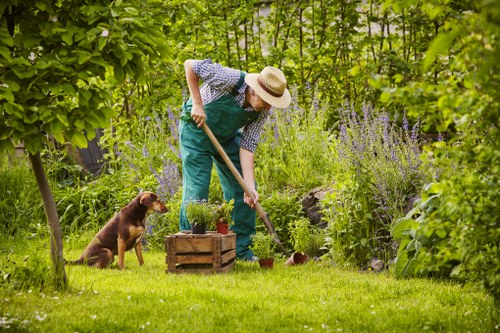 Customer being guided through safety and access information for hedge trimming